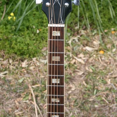 Early 1970’s Canda 202 Hummingbird Model MIJ by Fujigen Gakki+Old Flight Case, All New Frets image 5
