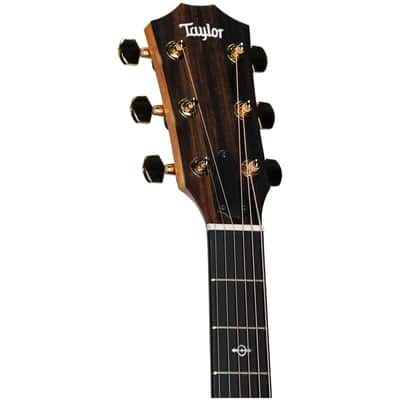 Taylor 224ce-K DLX Grand Auditorium Left-Handed Acoustic-Electric Guitar, Shaded Edgeburst, with Case image 7