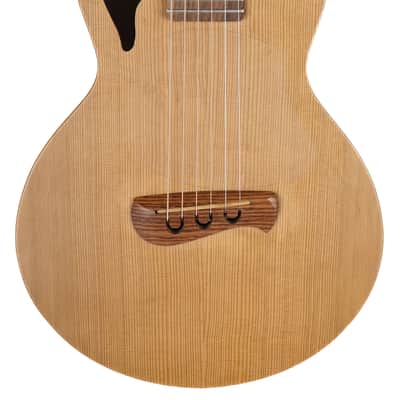 2004 Tacoma Papoose Acoustic image 2