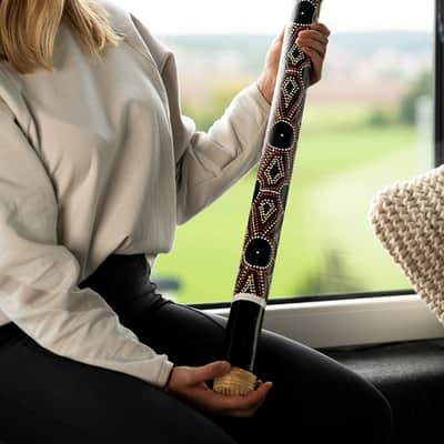 Meinl Sonic Energy Bamboo Rainstick Medium - Dot Painted/Black image 2