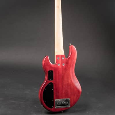 Alien Audio PP 5-String w/HSC image 6