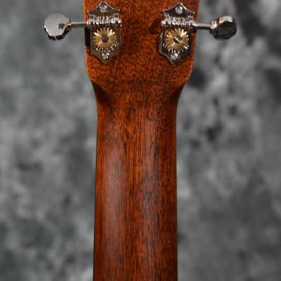Martin GPC-16e Mahogany Grand Concert Body Cutaway w/ Deluxe Gigbag & FREE Same Day Shipping image 3