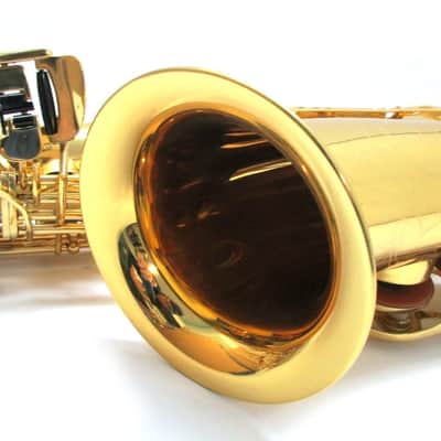 JZ Alto Saxophone Level 2- ASLS image 4