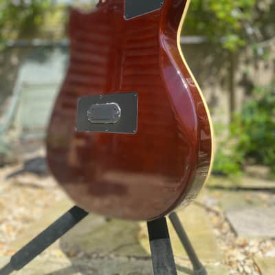 Multiac ACS rosewood HG with Roland GR-30 synth image 4