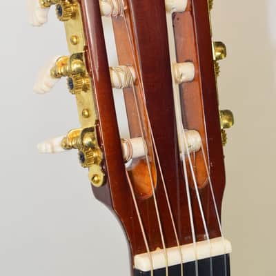 D. Catala Guitarras GO-50 Classical Acoustic Guitar w/ Hardshell Case image 10