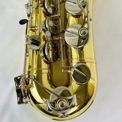 Yamaha YTS-200AD Advantage Tenor Sax Kit + Upgrades image 13