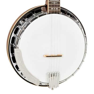 Gold Tone OB-150EF 24-Fret Orange Blossom Banjo image 1