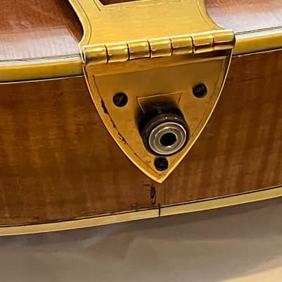 D'Angelico Excel Archtop image 11