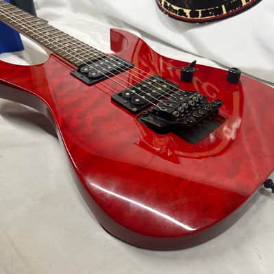 Ibanez RG320QS RG Series Doublect Electric Guitar image 19