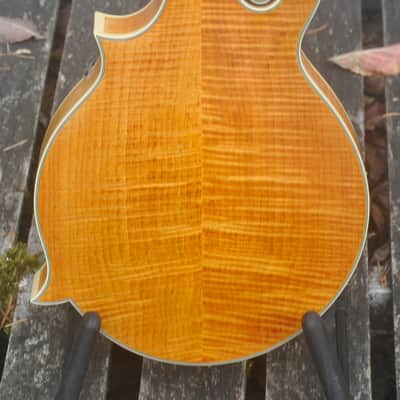 Epiphone MM-50E Professional Mandolin - Natural image 7