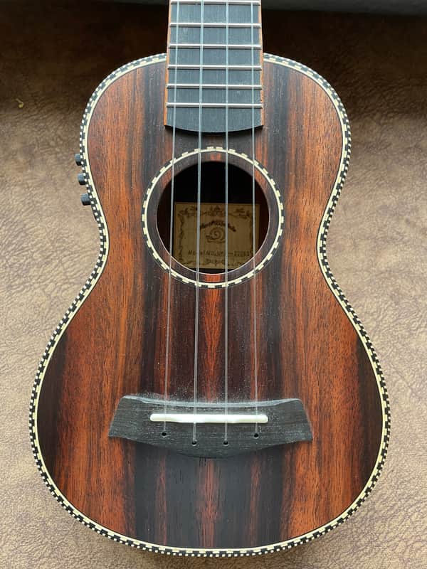 Snail UKS-220EQ Soprano Ukulele Inc Gig Bag Ref No183 2025 - Natural Satin image 1
