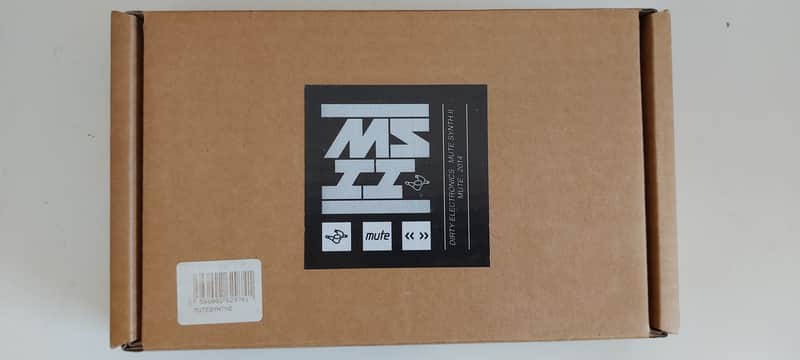 Mute Mute Synth 2 2020 image 1