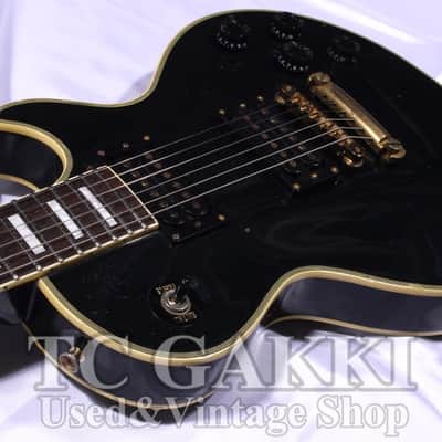 Edwards Elp 85 C image 3