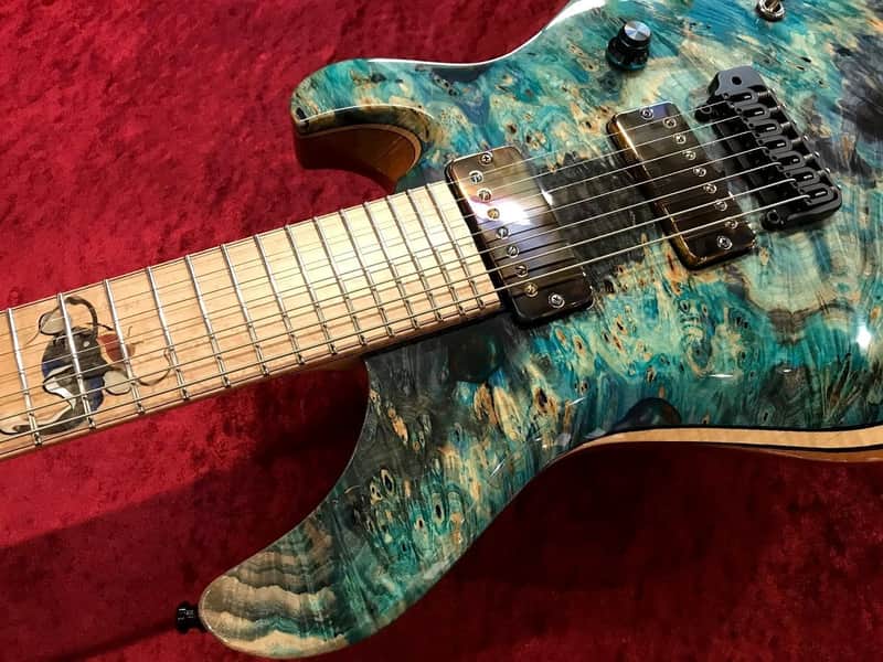 Altero Custom Guitars Vuoto diverso Sette 7st 【MADE IN | Reverb