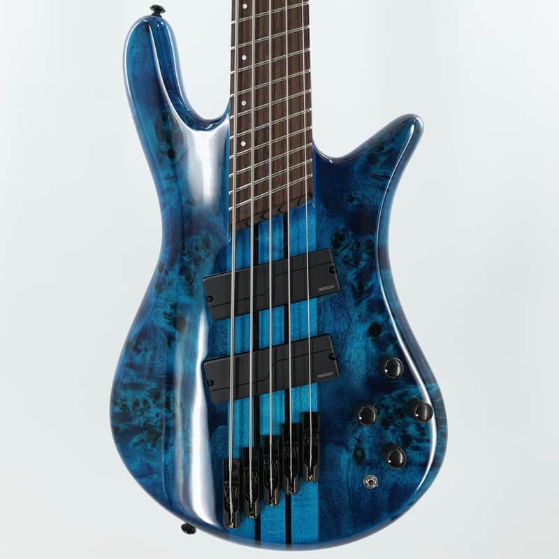 Spector NS Dimension 5 5-String Multi-Scale Bass w/ Fishman