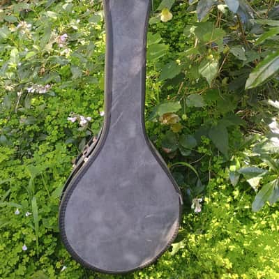 Incredibly Rare Harmony Roy Smeck Mando-Banjo/8-string Tenor Banjo 1960s image 9