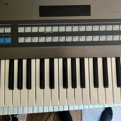 Roland JX-8P 61-Key Polyphonic Synthesizer 1984 - 1986 - Black image 5