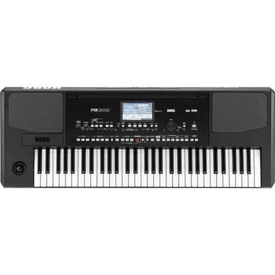 Korg PA300 61 Keys Professional Arranger, 950+ Sounds, USB-MIDI Interface, Color TouchView 5 (480x272 dots) TFT Display image 3