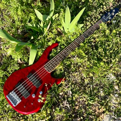 Peavey Fury V 2007/2008 5 String Bass - Upgraded Bartolini Pickups image 12
