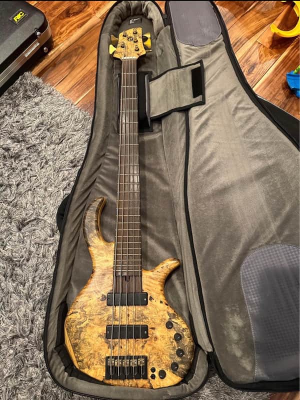 Elrick Gold Series 2004 - Burled Maple image 1