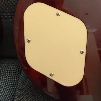 Epiphone Les Paul Standard EE06060241 Quingdao image 18