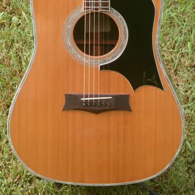 1977 Yairi YW600G Grammer Guitar Style New Jacaranda - Natural+Hard Case image 3