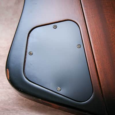 GIBSON USA Firebird V "Vintage Sunburst + Rosewood" (1996) image 21