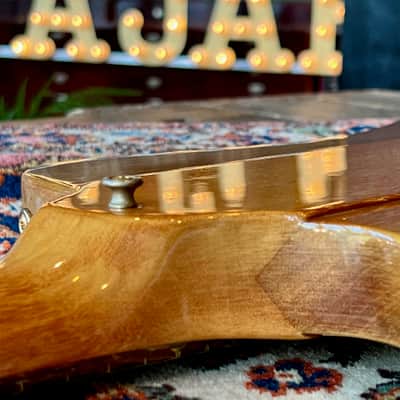 1976 Gibson Firebird Bicentennial Natural "first run" image 14