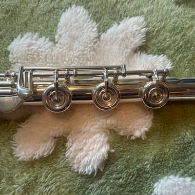 Solexa 201 Flute – Full Setup w/ Hard Case, Travel Case, Cleaning Kit + Plugs image 5