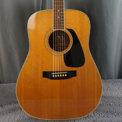 Morris MD-505 Japan Acoustic Guitar image 2