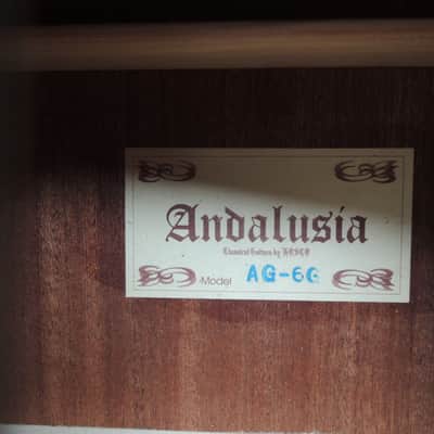 andalusia AG-6 G Guitare classique electro acoustique pan coupé Style Espagnole image 6