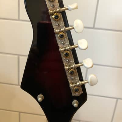 Strad-O-Lin  SG style  1960s Tri-color sunburst image 10
