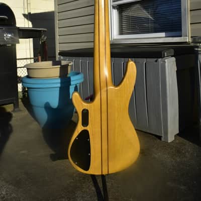 Agile Brice 6 string bass Vintage toned image 7