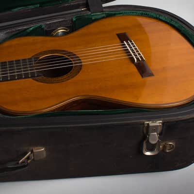 Manuel Velazquez Classical Guitar (1971), Mark Leaf black hard shell case. image 13