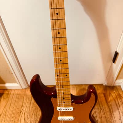Donzilla ZebraWood Partscaster image 3