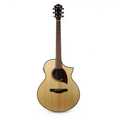 Ibanez AEW22CDNT Exotic Wood Series Acoustic-Electric Guitar | Reverb