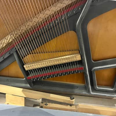 Immagine 1950's/1960's Marco Polo 64-Key Upright Piano - 19
