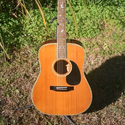 1970s Morris W100D B. Rosewood Jacaranda Body, Tree of Life, Solid Spruce Top, Pick up +Hard Case image 2