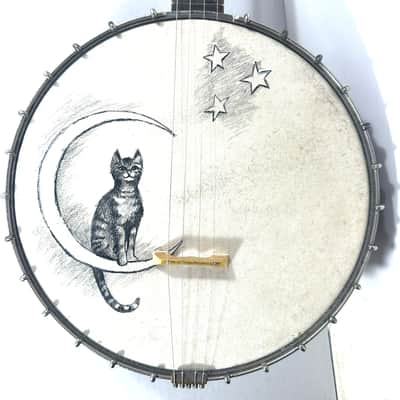 Vega vintage tenor cello banjo 4 strings with painted head New York made Style N “the Tabby” 1924 - Wood and half skin image 1