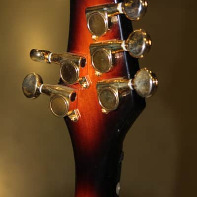 Mark Wood WV-CB5F-B 5 String Fretted Electric Violin, Viper (USED) Sunburst image 6