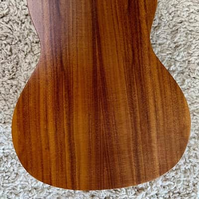 Luna Model UKE ACC Exotic Flamed Acacia Concert Size Ukulele -  Demo image 4