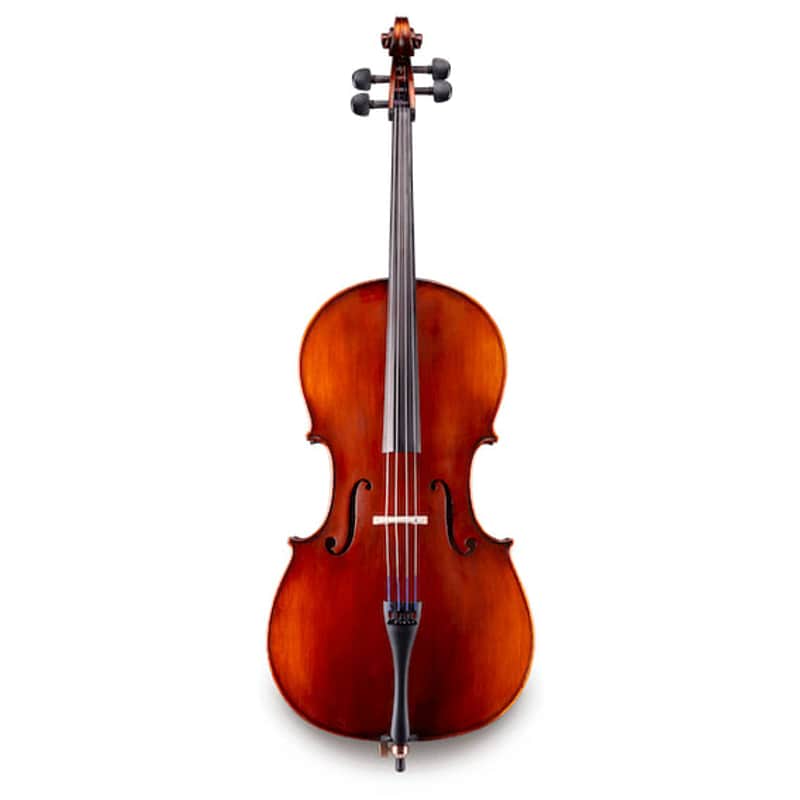 Eastman VC95SCB-4/4 Samuel Eastman 4/4 Cello Outfit
