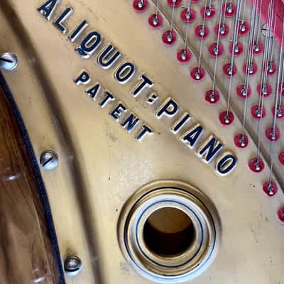 Bluthner PIANOFORTE A MEZZA CODA image 5