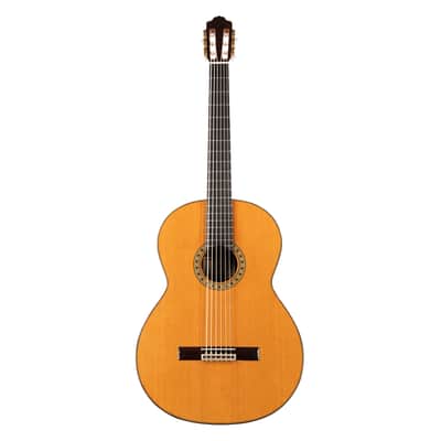 6 String Contrabass Guitar (Octave Bass) - Esteve PS75 - All Solid Wood/Cedar/Indian Rosewood - 750mm Scale Length image 1