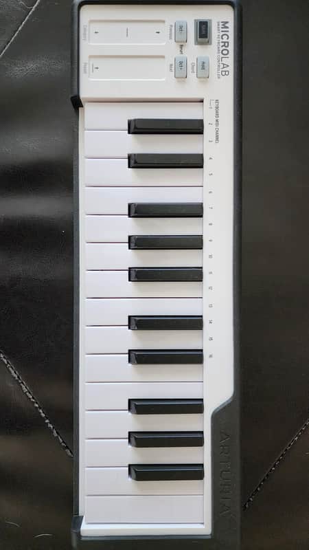 Arturia MicroLab 25-Key MIDI Controller 2019 - Present - Black image 1