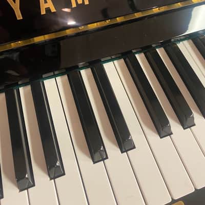 Yamaha U1 - Factory restored image 3