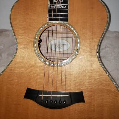 Taylor XXX MS 2004 - Natural image 14