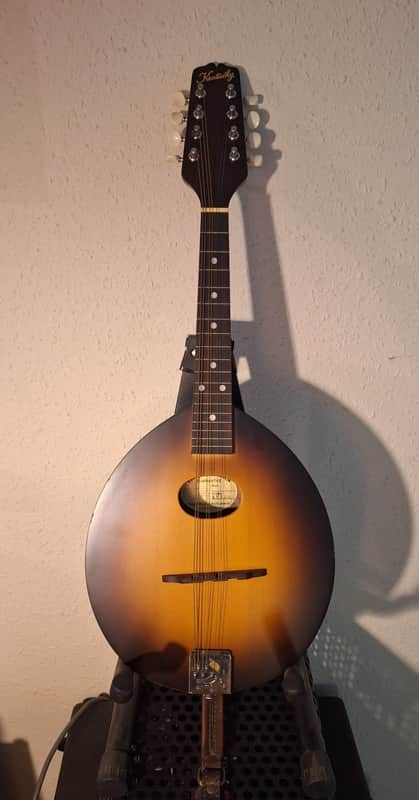 Kentucky KM-100