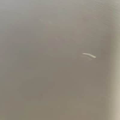 Yorkville PS15P image 5