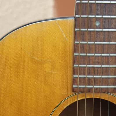 Gibson B20 1971 Natural image 4